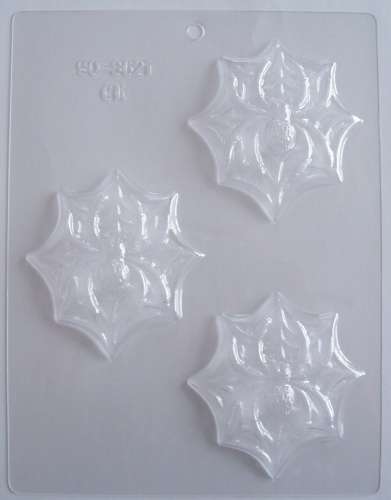 Spider On Web Chocolate Mould - Click Image to Close